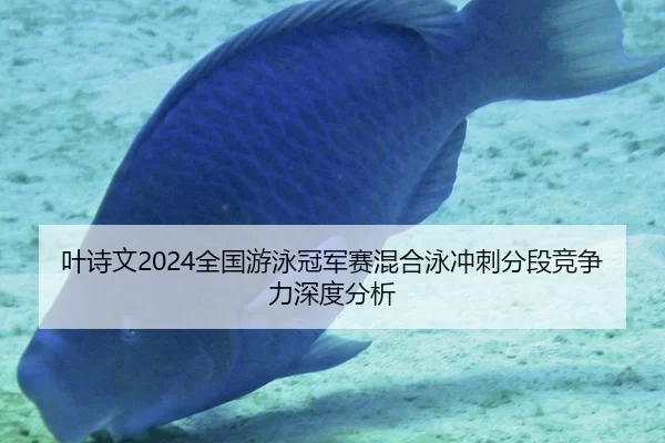 叶诗文2024全国游泳冠军赛混合泳冲刺分段竞争力深度分析