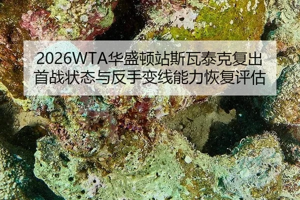 hua-sheng-dun-zhan-si-wa-tai-ke-fu-chu-shou-zhan-zhuang-tai-yu-fan-shou-bian-xian-neng-li-hui-fu-ping-gu-3-172.jpg