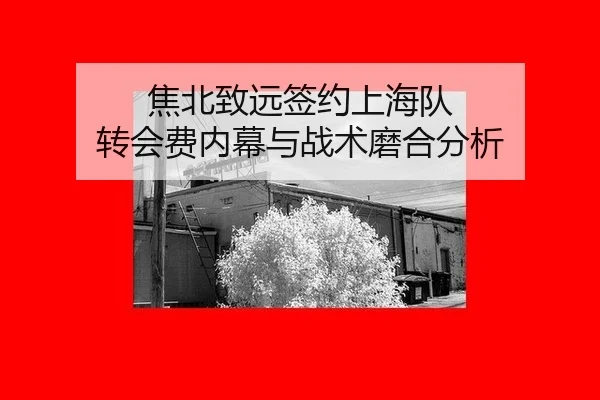 jiao-bei-zhi-yuan-qian-yue-shang-hai-dui-zhuan-hui-fei-nei-mu-yu-zhan-shu-mo-he-fen-xi-2-899.jpg