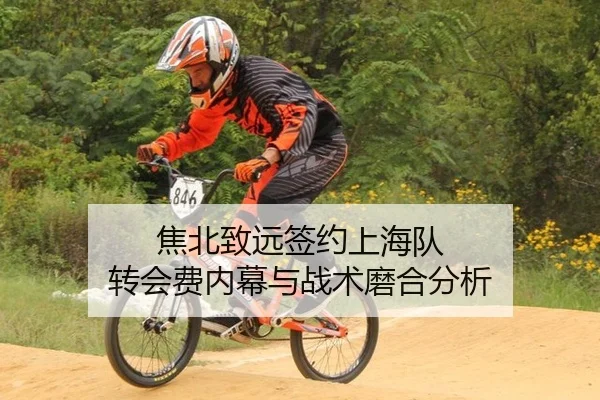 焦北致远签约上海队 转会费内幕与战术磨合分析
